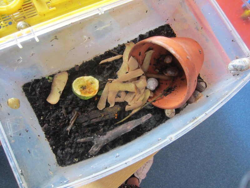 Notre escargoti&egrave;re